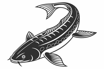 bichir sihouette black vector