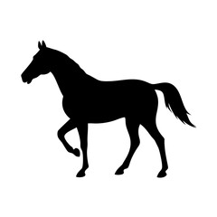 Obraz premium Horse silhouette vector illustration equine mammal animal design graphic art image black and white background