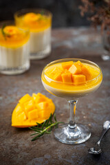 Italian dessert panna cotta with mango in glass on gray background