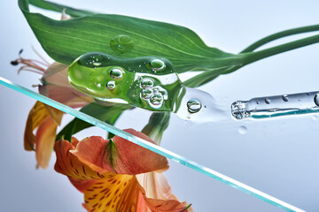 A pipette with a beautiful drop of serum on a background of lily flowers.
