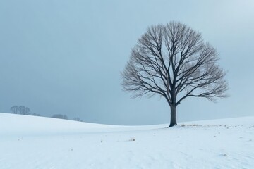 Fototapeta premium A lone, dark-colored tree against a snow-covered landscape, woodland, nature scene