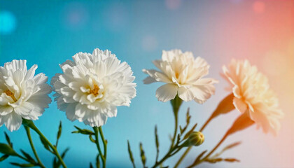 Fototapeta premium Delicate White Flowers Bouquet Against a Light Blue Background