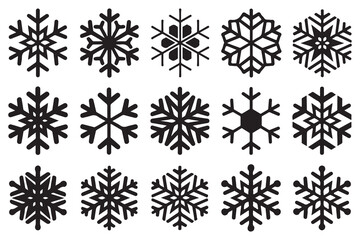 Snowflake Variety: A collection of intricately designed snowflakes in a monochromatic composition. showcasing the beauty of nature's frozen art and evoking feelings of winter's serene embrace.