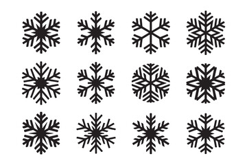 Snowflake Collection: A collection of intricate, six-pointed snowflakes, each showcasing the unique beauty of winter's delicate artistry.  