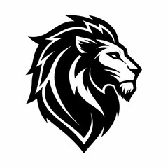 Fototapeta premium lion head vector 