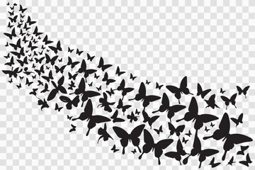 Metamorphosis Cascade: A monochrome spectacle, showcasing a swarm of graceful butterflies ascending and swirling. Their silhouettes paint a picture of transformation and freedom.