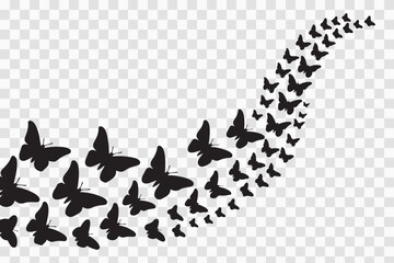 Silhouette of Butterfly Flight: A beautiful silhouette of a  flock of butterflies in flight, forming a graceful curve against a transparent background. Perfect for design projects.