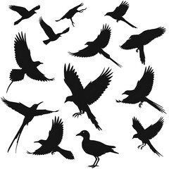 Obraz premium Flight of Shadows AI Generated