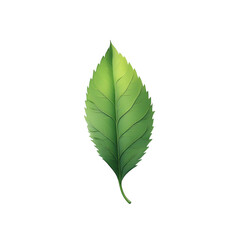 Fototapeta premium Vibrant Green Leaf Illustration Nature's Detailed Design
