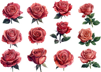 seamless pattern with roses