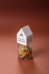 Coins and plant in a jar as a concept of savings and financial investment