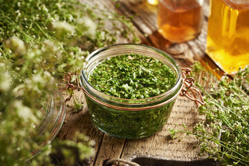 Preparation of homemade herbal tincture from fresh blooming shepherd's purse plant