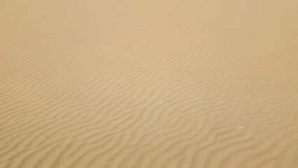 Obraz premium Sand dune texture with natural beige ripples, perfect for backgrounds. Surface of summer sand, ideal for illustrating desert or beach concepts.