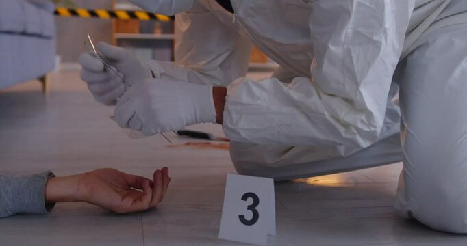 Crime scene technician gathering forensic evidence from a crime scene involving a dead body. Collaborating with police, utilizing 911 protocols, and conducting a thorough investigation.