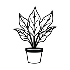 a potted plant with big wavy leaves