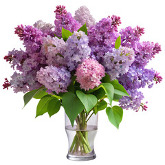 Obraz premium Isolated Lilac Flowers and Petals PNG – High Resolution Transparent Floral Elements for Design