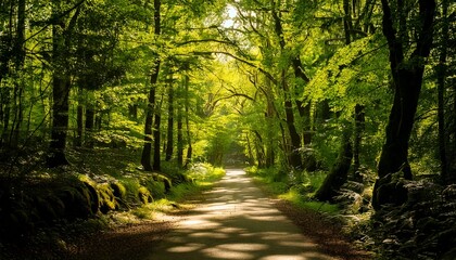Obraz premium Camino bañado por el sol entre frondosos árboles verdes