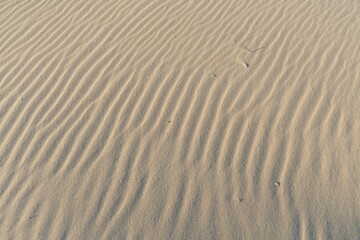 Sand dune with wave pattern.
