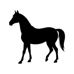 Horse silhouette vector black animal equine mammal mustang stallion mare thoroughbred drawing design