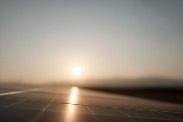 Fototapeta premium solar energy farm in saudi arabia during golden hour showcasing seasonal transition