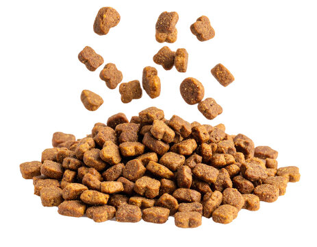 Hundefutter fallen auf einen Haufen isoliert auf wei&szlig;en Hintergrund, Freisteller