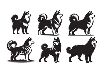 Canadian Inuit Dog Silhouette Vector Illustration White Background 