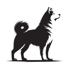 Canadian Inuit Dog Silhouette Vector Illustration White Background 