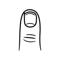 Finger Sketch: A close-up sketch of a human finger, highlighting the nail and natural lines, is displayed in a clean, minimalistic style.