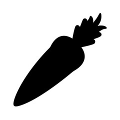 Vector carrot vegetable healthy food orange carrot fresh carrot nutrition carrot garden carrot farm