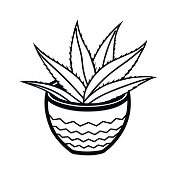 black and white aloe vera plant in pot clip art preview