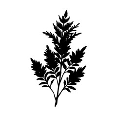 Black fern silhouette vector illustration botanical foliage plant design isolated nature element art graphic