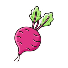 Illustration of fresh organic beetroot vegetable root crop with green leaves healthy food diet art