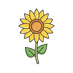 Illustration of sunflower blossom with yellow petals and green leaves vector art floral design element