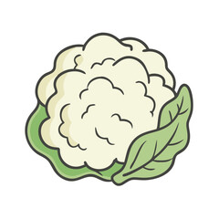 Illustration of cauliflower vegetable healthy food diet nutrition vegetarian vegan plant based organic raw food