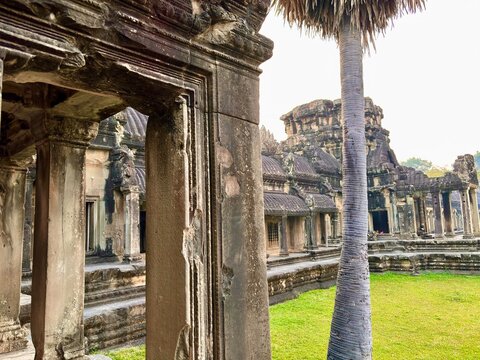 Ancient stone ruins of Angkor Wat, Cambodia, with weathered pillars and a palm tree in the foreground. This UNESCO heritage site showcases stunning Khmer architecture and history.