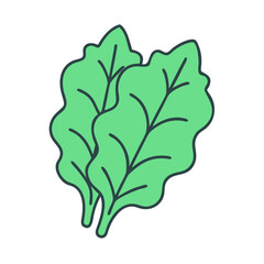 Illustration of fresh green lettuce leaf vegetable salad ingredient healthy food nutrition diet garden harvest