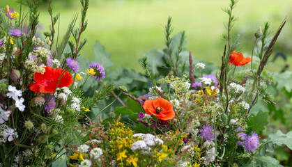 Summer bouquet with wildflowers, poppies, yarrow, cornflowers, oak leaves. Natural seasonal...