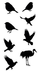 Fototapeta premium Silhouette Aviary AI Generated