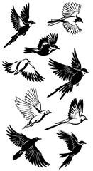 Obraz premium Wings of Freedom: Avian Silhouettes AI Generated