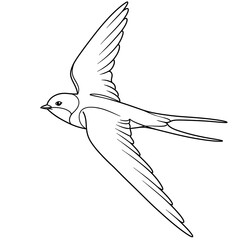 Obraz premium Swallow's Flight: A Line's Grace AI Generated