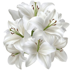 Fototapeta premium Elegant bouquet of white lilies