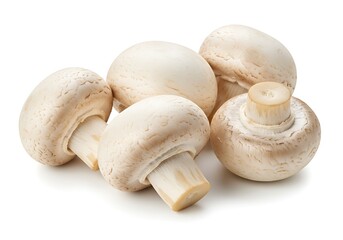 A close up shot showcasing a small pile of fresh white button mushrooms on a white background plain scene