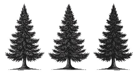 Obraz premium Evergreen Trio: Ink & Shadow AI Generated