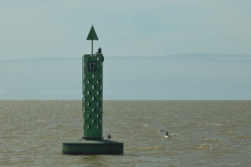 Beacon 17 — Silent Guardian of the Channel