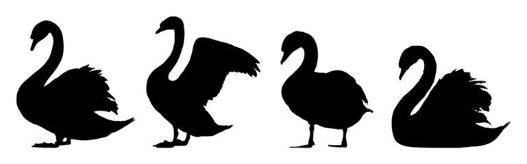 Set of swan silhouettes – vector illustration © KR Studio