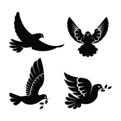 Would you like variations with a more artistic or technical tone?