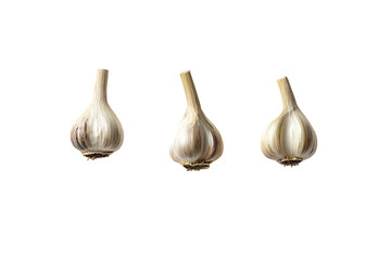 a group of garlic bulbs