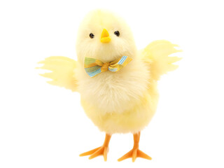 Fototapeta premium easter chick isolated on white background PNG