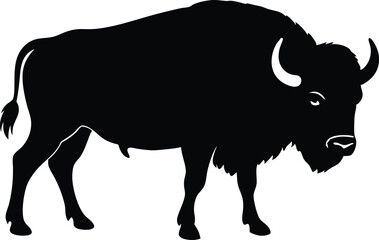 bison vector