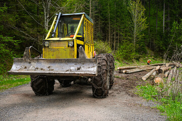 Forestry skidder or forestry tractor working in forest with cut wood logs and lumberjack